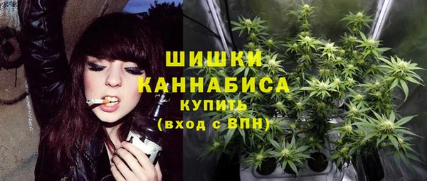 apvp Горняк