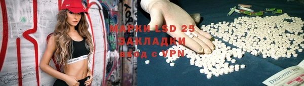 apvp Горняк