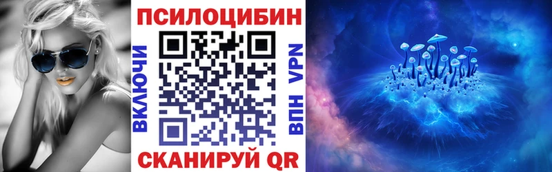 дарнет шоп  Мценск  Псилоцибиновые грибы Cubensis 